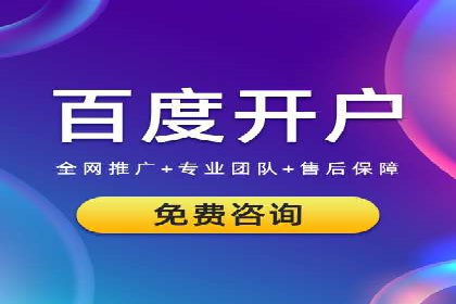 谷歌竞价优化：实战案例分析及策略